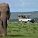 Game Drive to Addo Elephant National Park 