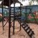 New Jungle Gym