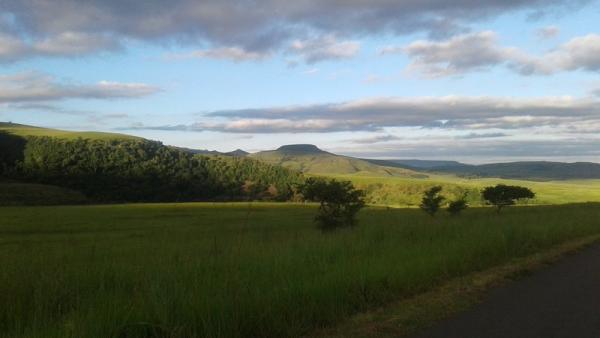 Our surrounds
