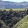 View of Lankloof