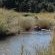 The putterill spruit