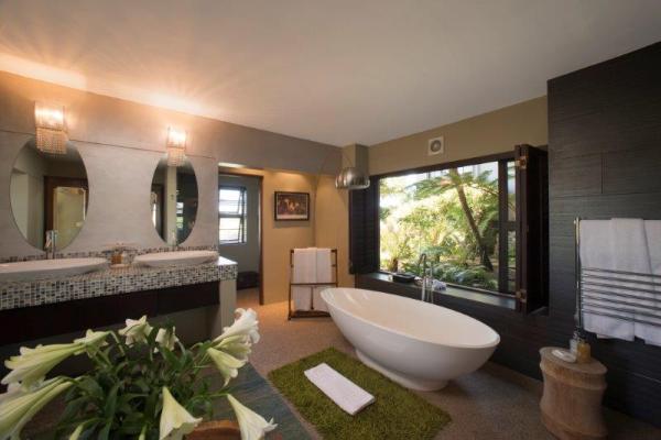 Forest Suite