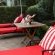 Loungers