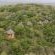 Hilltop Camp - Hluhluwe-Imfolozi Game Park