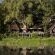 Simbavati River Lodge