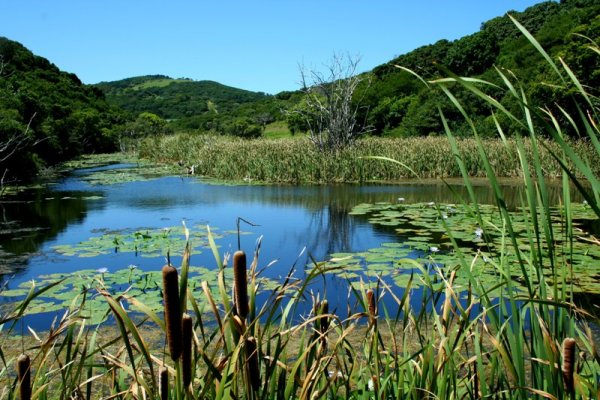 Ngulube Dam