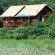 Hornbill Chalet
