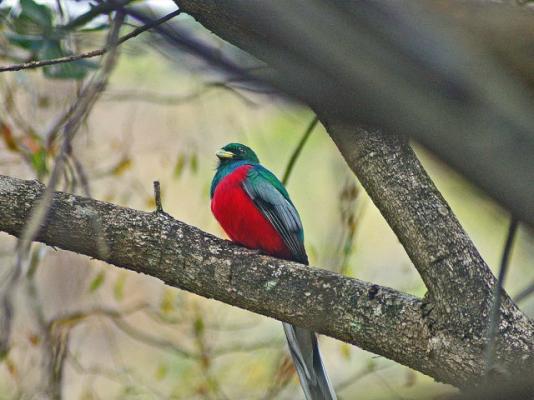 Phophonyane Falls Ecolodge and Nature Reserve