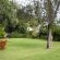 Albert House Garden