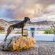 Simon’s Town Quayside Hotel