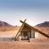 Desert Quiver Camp