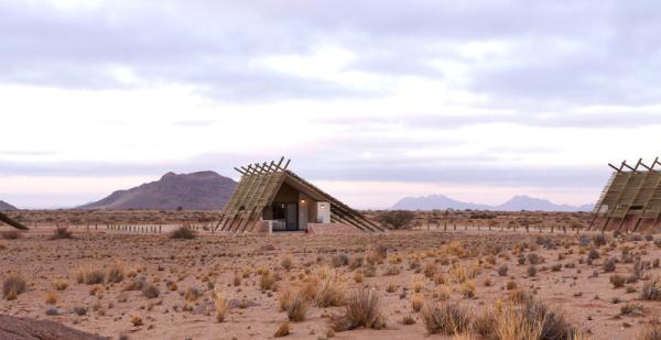 Desert Quiver Camp