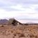 Desert Quiver Camp