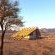Desert Quiver Camp