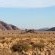 Desert Quiver Camp