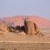 Desert Quiver Camp