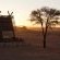 Desert Quiver Camp