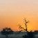 Nossob Restcamp - Kgalagadi Park