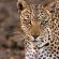 Mkuze Falls Private Game Reserve