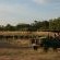 Tshukudu Bush Camp