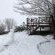 Winter Snow