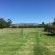 Upper Olive Grove