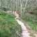 Rivendell path to stream