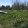 Rivendell grass roof