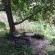 Underhill farmhouse chill spot riverside
