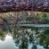 River Rock Guesthouse