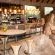 Madikwe Hills Private Game Lodge