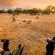Sabi Sabi Private Game Reserve