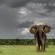 Sabi Sabi Private Game Reserve
