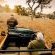 Sabi Sabi Private Game Reserve