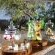 Earth Lodge - Sabi Sabi