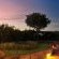 Earth Lodge - Sabi Sabi