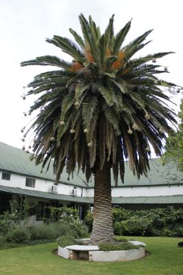 Lemoenfontein Game Lodge
