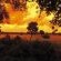 Selati Camp - Sabi Sabi