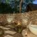 Selati Camp - Sabi Sabi