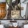 Selati Camp - Sabi Sabi