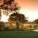 Bush Lodge - Sabi Sabi