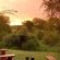 Bush Lodge - Sabi Sabi