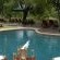 Bush Lodge - Sabi Sabi