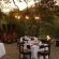 Little Bush Camp - Sabi Sabi