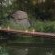 Little Bush Camp - Sabi Sabi