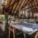 Little Bush Camp - Sabi Sabi