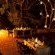 Little Bush Camp - Sabi Sabi