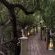 Safari Tents - Walkway
