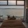 Island Cottage Guesthouse