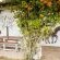Thali Thali Game Lodge